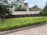 202512_dantochocVN/IMG_2830.JPG 2989KB