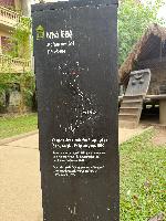 202512_dantochocVN/IMG_2834.JPG 2397KB