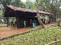 202512_dantochocVN/IMG_2838.JPG 5413KB