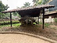 202512_dantochocVN/IMG_2846.JPG 2134KB