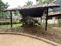 202512_dantochocVN/IMG_2847.JPG 2181KB