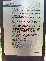 202512_dantochocVN/IMG_2849.JPG 2377KB