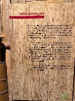 202512_dantochocVN/IMG_2861.JPG 3798KB