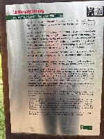 202512_dantochocVN/IMG_2868.JPG 2943KB