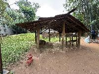 202512_dantochocVN/IMG_2869.JPG 2195KB