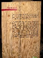 202512_dantochocVN/IMG_2877.JPG 3558KB