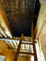 202512_dantochocVN/IMG_2880.JPG 1359KB