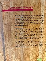 202512_dantochocVN/IMG_2883.JPG 2981KB