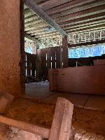 202512_dantochocVN/IMG_2884.JPG 1822KB