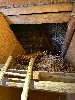 202512_dantochocVN/IMG_2885.JPG 1442KB